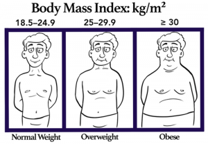 Body Mass Index Definition