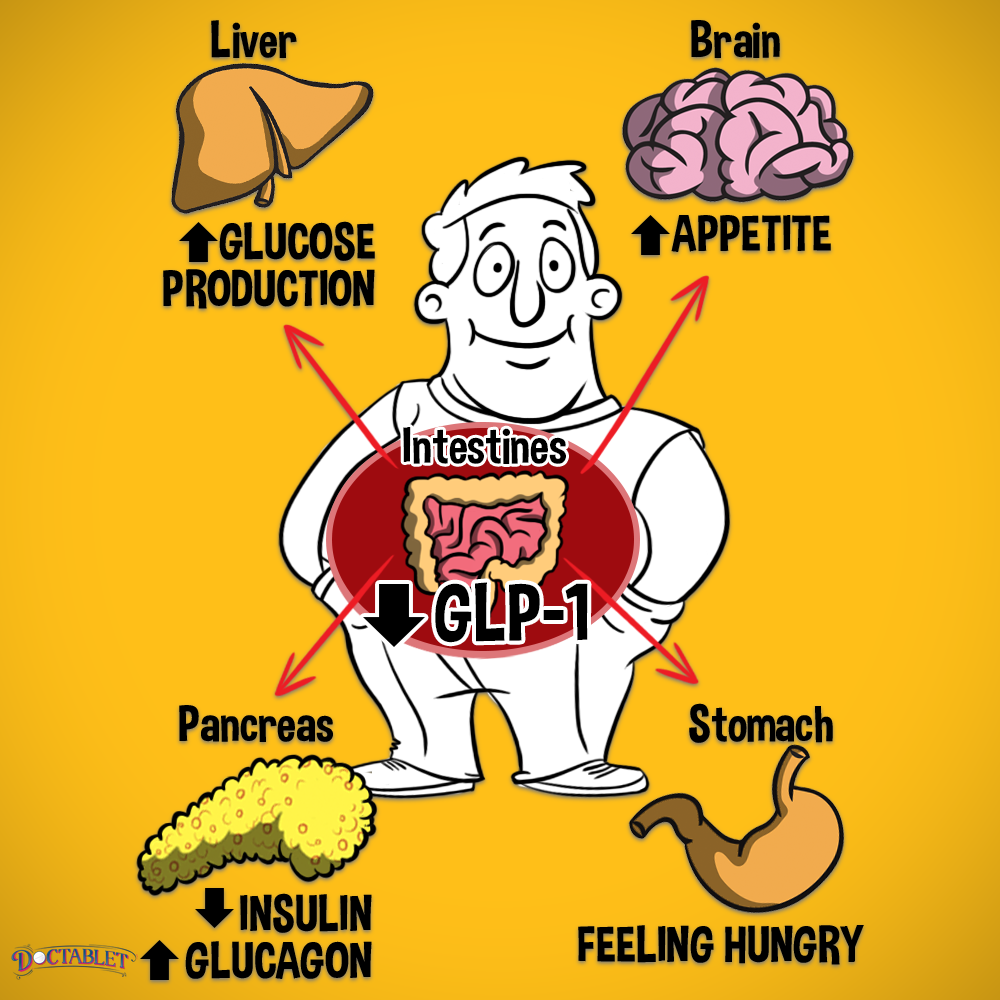 GLP-1 in a person with diabetes