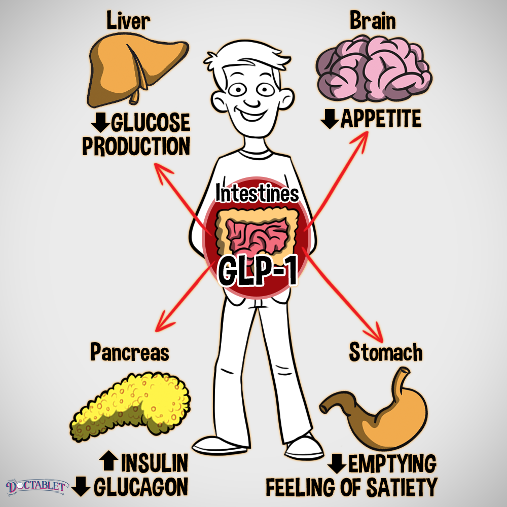 GLP-1 in a person with diabetes