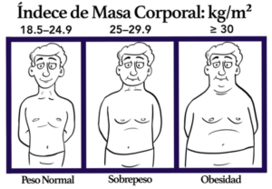 Indice de Masa Corporal Definición