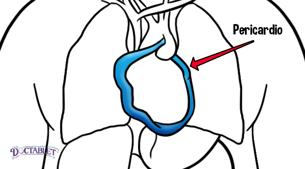 Pericardio, función del pericardio