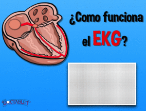 Como funciona del EKG? - Doctablet®