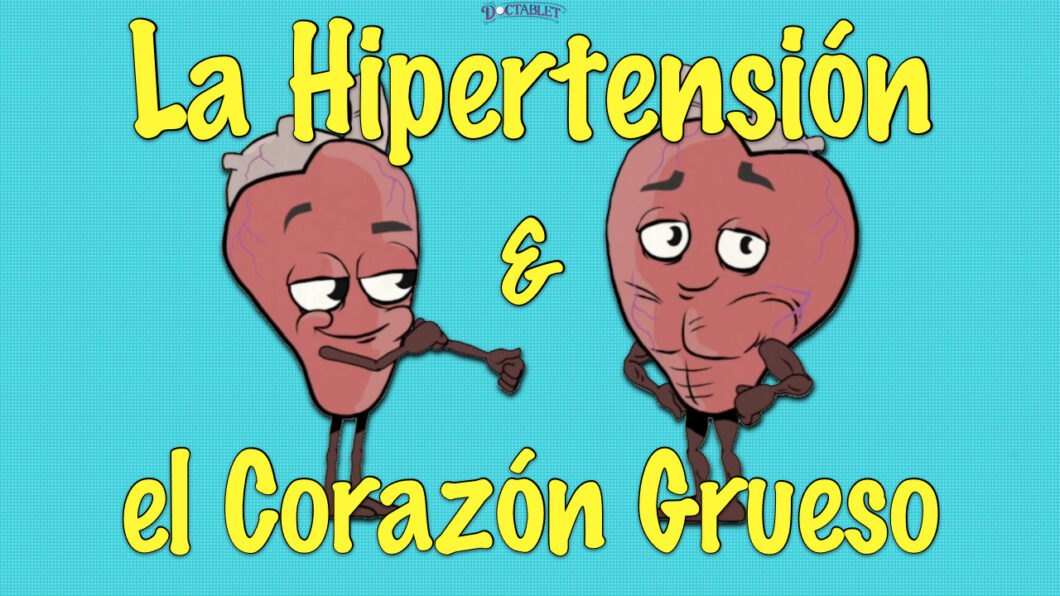 La Hipertensión & el Corazón Grueso