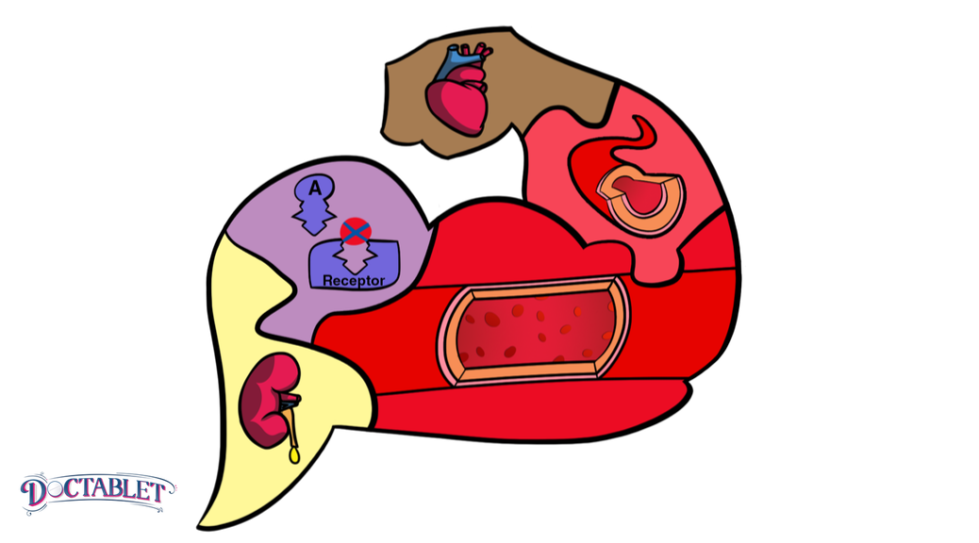 Solving the blood pressure puzzle: the key to understanding blood pressure control through the use of multiple medication types.