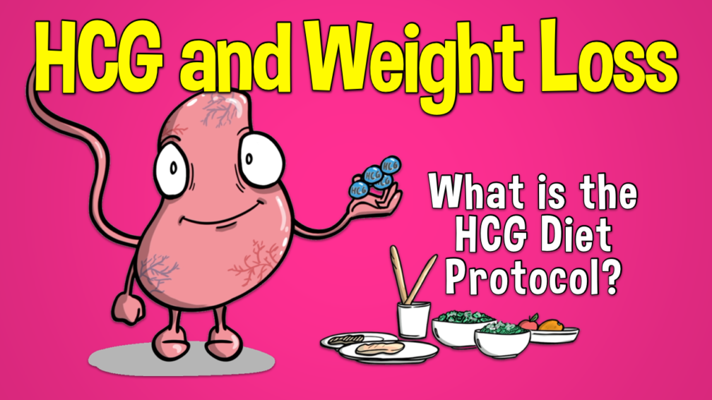 HCG and Weight Loss: What is the HCG Diet Protocol - Doctablet®