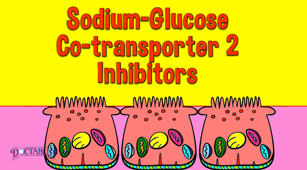 SLG2 Inhibitors for Diabetes Treatment - Doctabet®