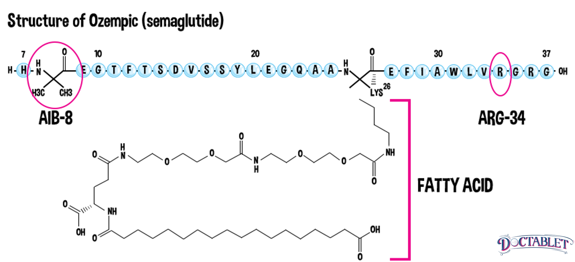 Chemical Structure of Semaglutide, Diagram
