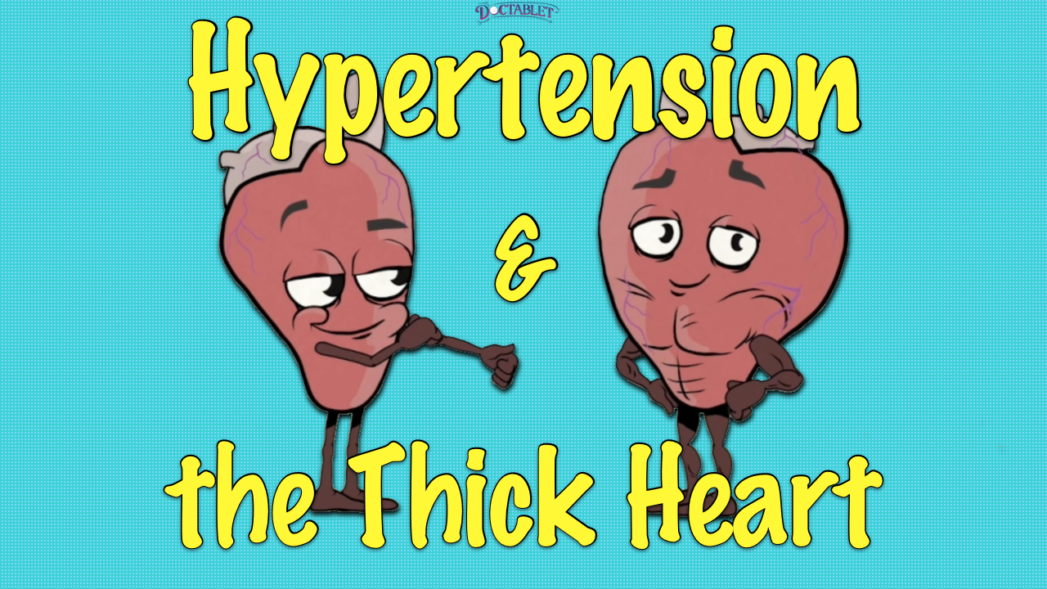 Hypertension & the Thick Heart