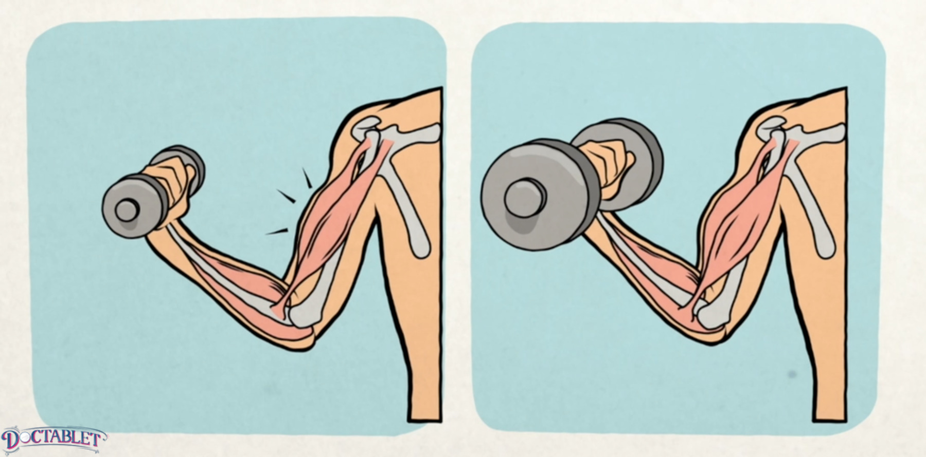 Two basic forms of exercise